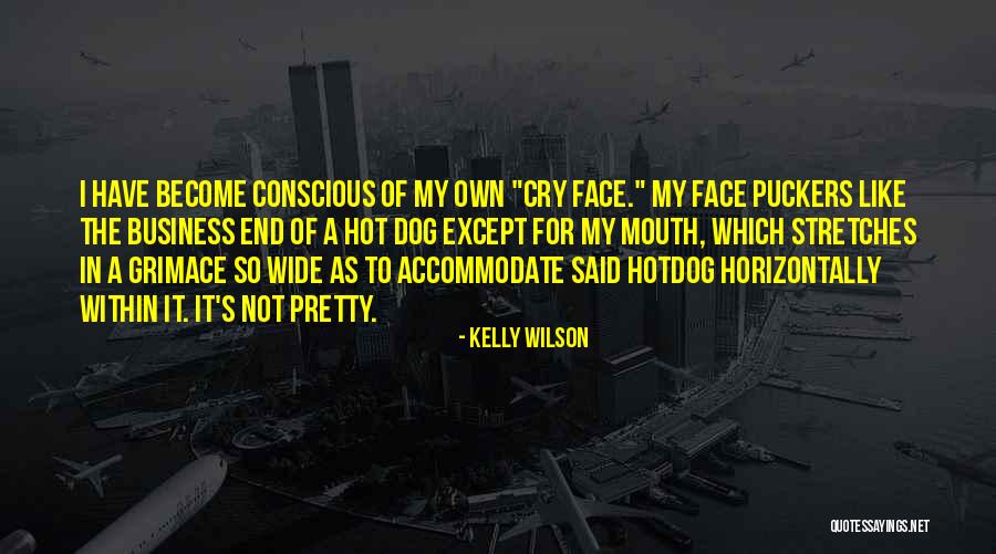 My Pretty Face Quotes By Kelly Wilson My Pretty Face Quotes By Kelly Wilson