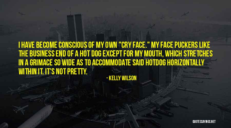 My Pretty Face Quotes By Kelly Wilson