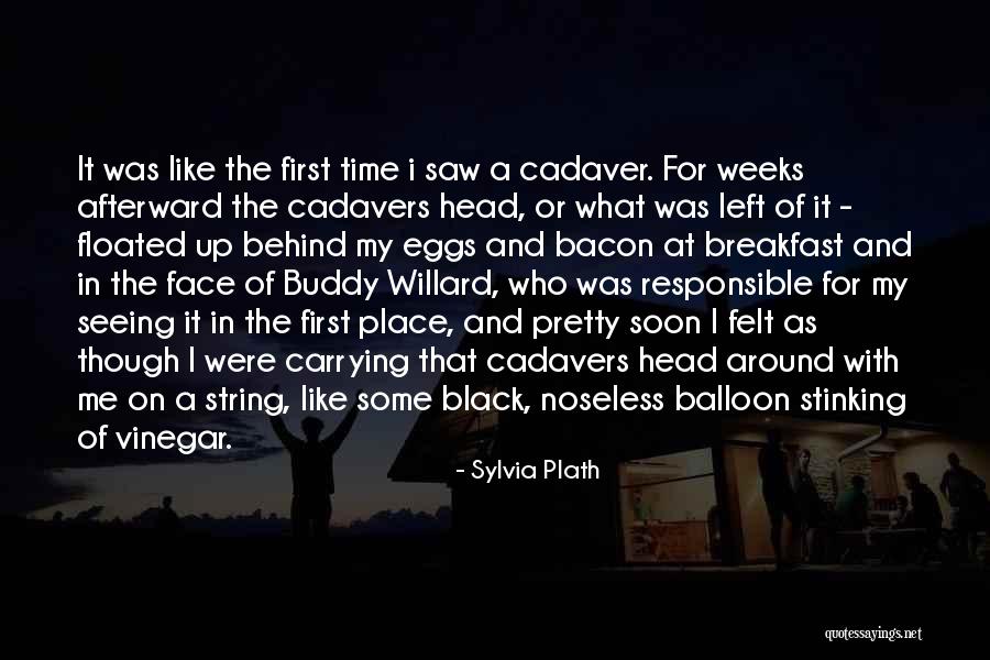 My Pretty Face Quotes By Sylvia Plath