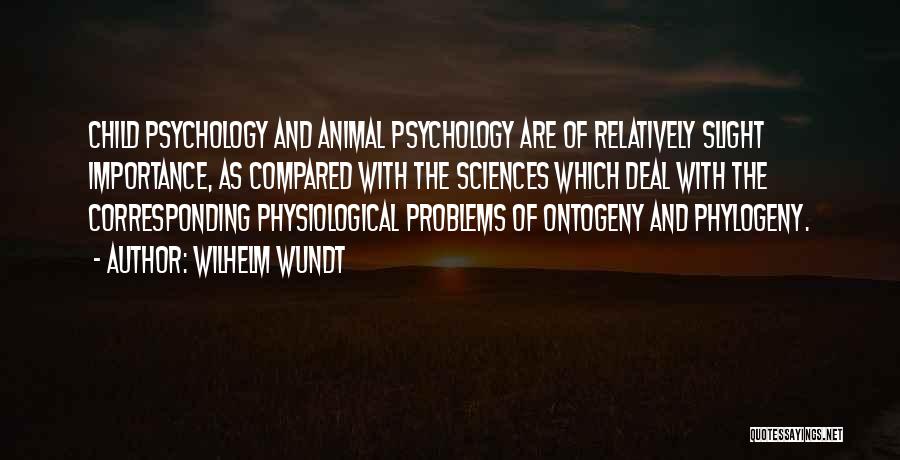 My Problems Are Nothing Compared To Others Quotes By Wilhelm Wundt