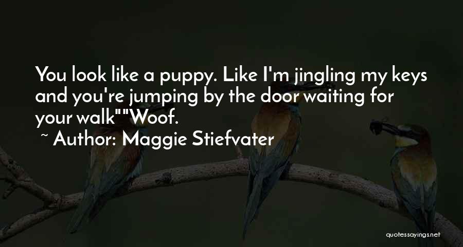 My Puppy Quotes By Maggie Stiefvater