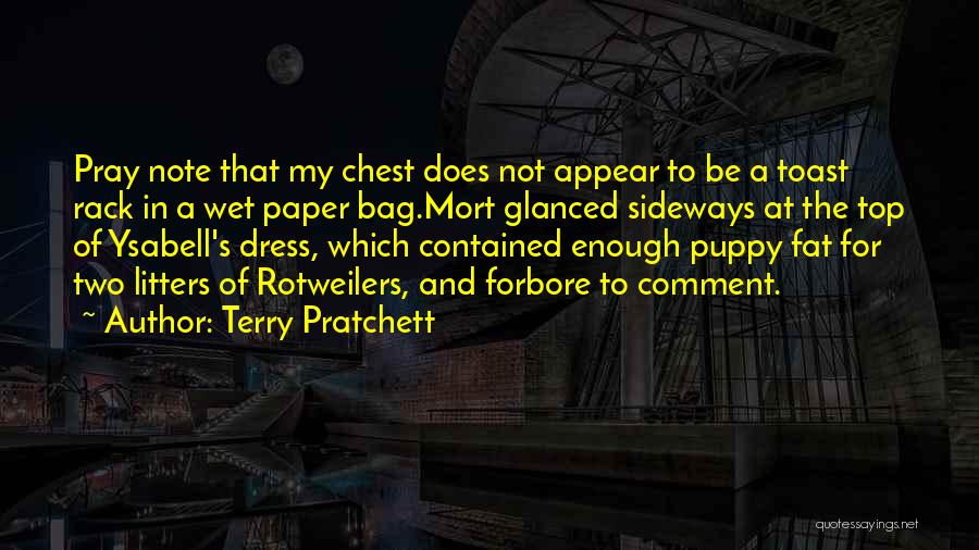 My Puppy Quotes By Terry Pratchett