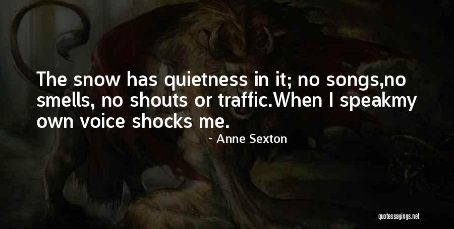 My Quietness Quotes By Anne Sexton