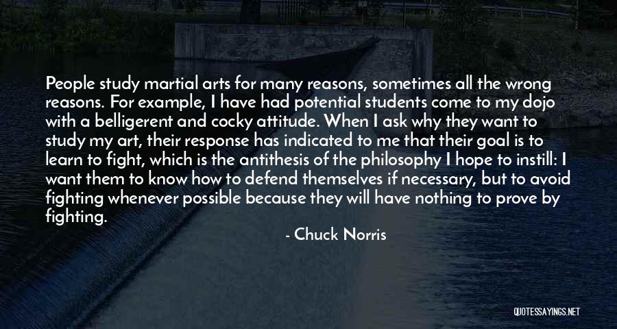 My Reasons Quotes By Chuck Norris My Reasons Quotes By Chuck Norris