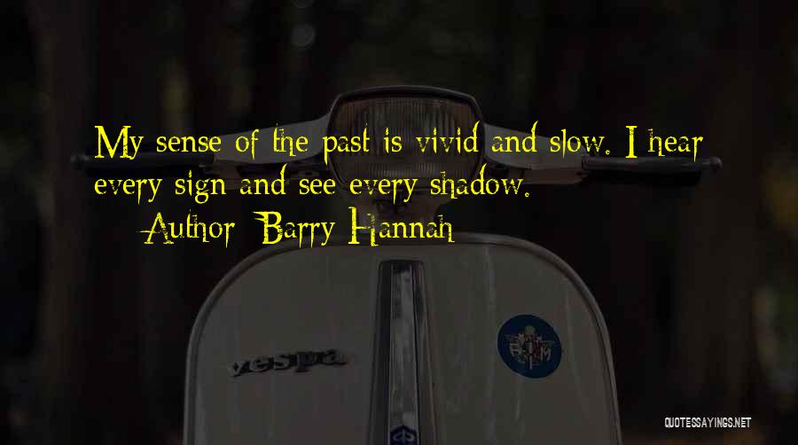 My Reflection Quotes By Barry Hannah