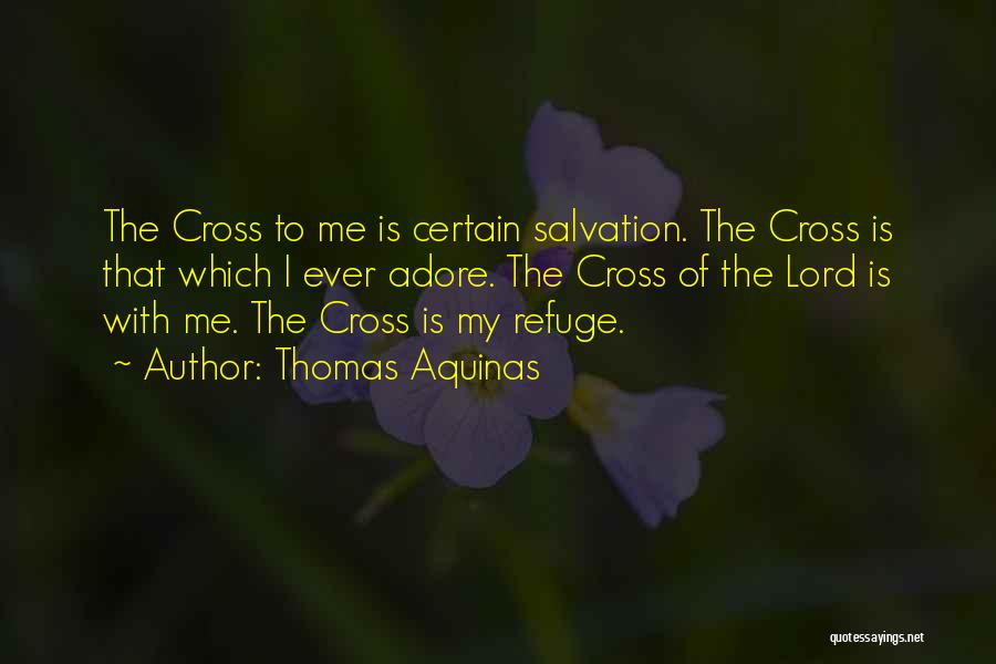 My Refuge Quotes By Thomas Aquinas