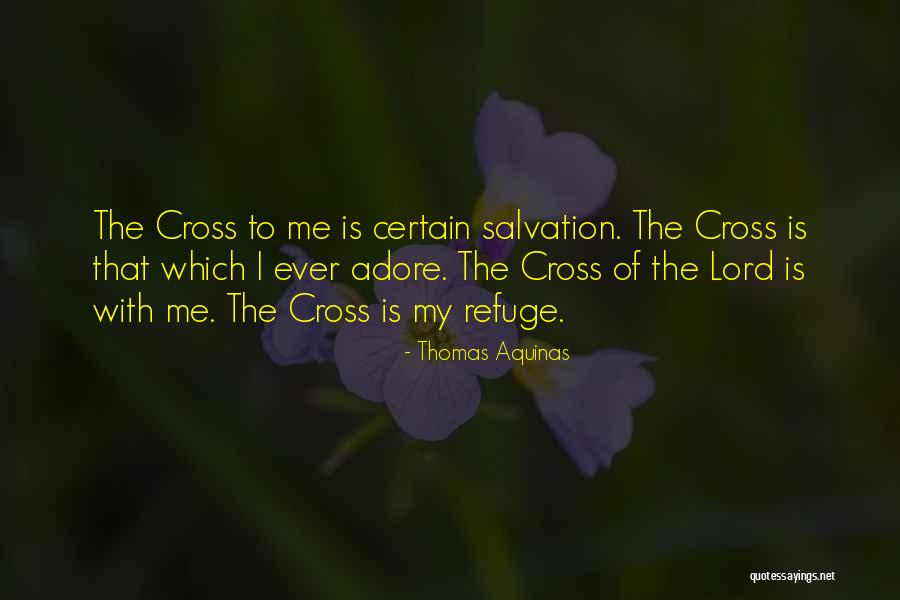 My Refuge Quotes By Thomas Aquinas