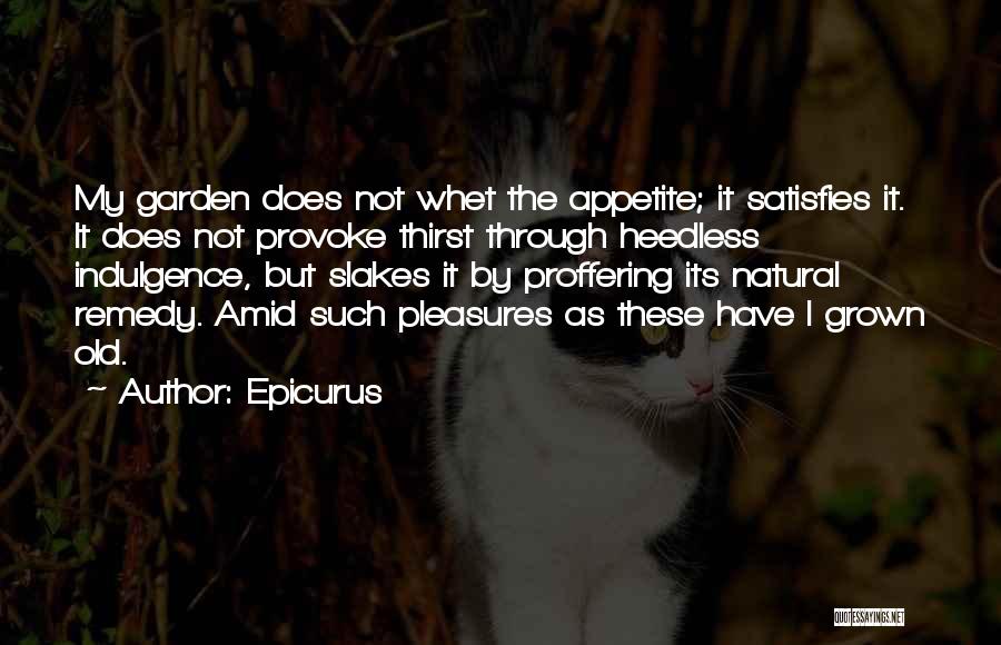 My Remedy Quotes By Epicurus