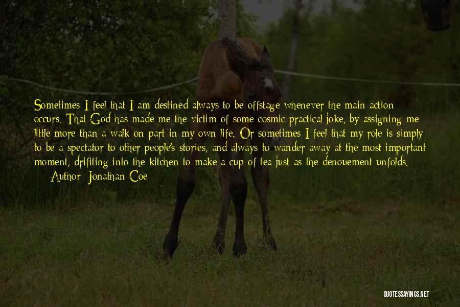 My Role In Life Quotes By Jonathan Coe