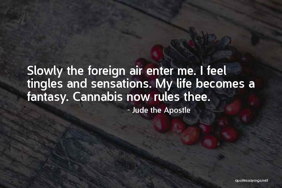 My Rules Quotes By Jude The Apostle