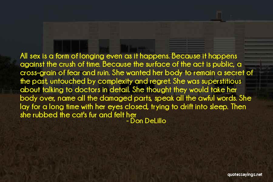 My Secret Crush Quotes By Don DeLillo My Secret Crush Quotes By Don DeLillo