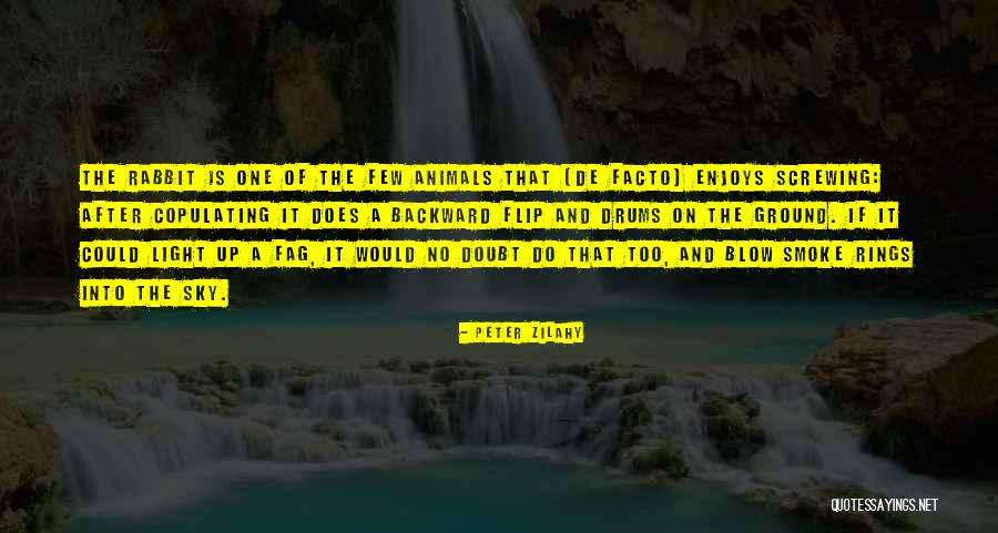 My Shorty Quotes By Peter Zilahy My Shorty Quotes By Peter Zilahy