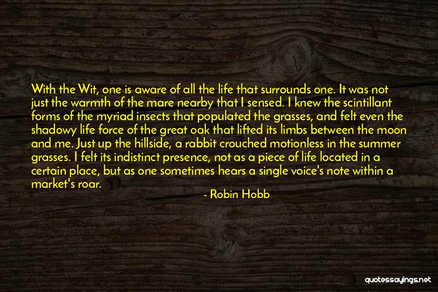 My Single Life Quotes By Robin Hobb My Single Life Quotes By Robin Hobb