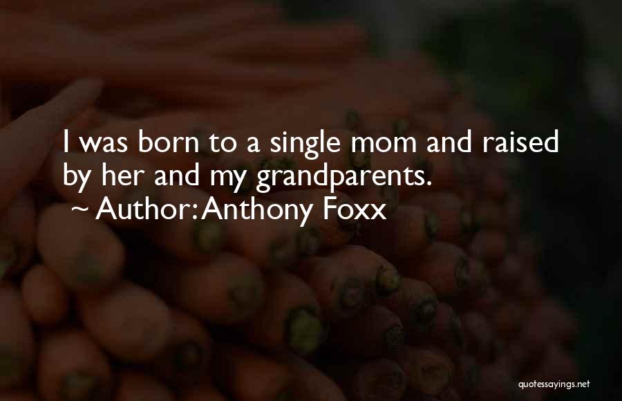 My Single Mom Quotes By Anthony Foxx