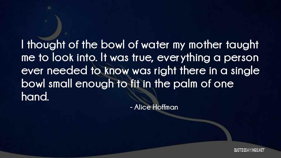 My Single Mother Quotes By Alice Hoffman My Single Mother Quotes By Alice Hoffman