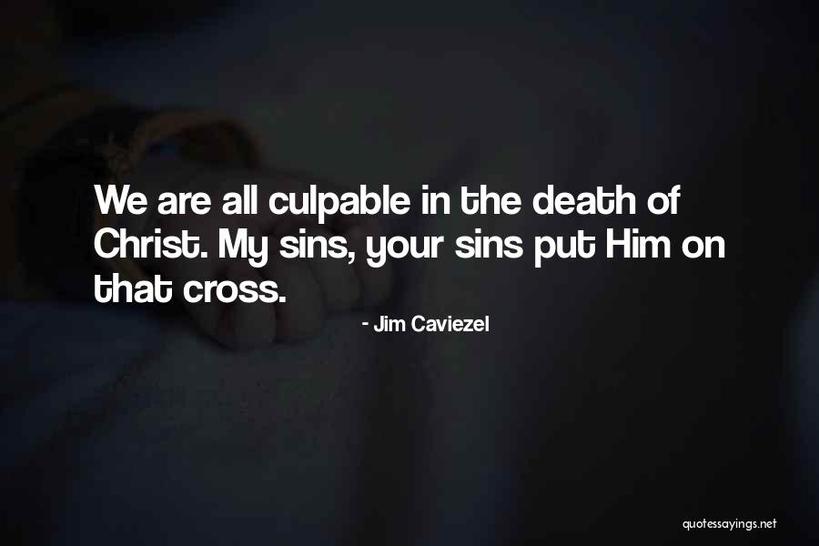 My Sins Quotes By Jim Caviezel