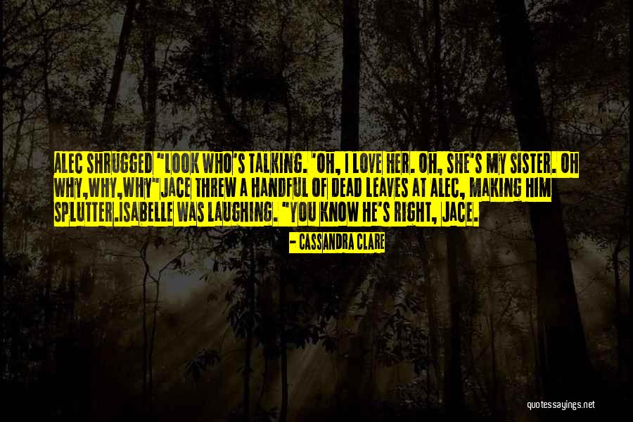 My Sister My Love Quotes By Cassandra Clare