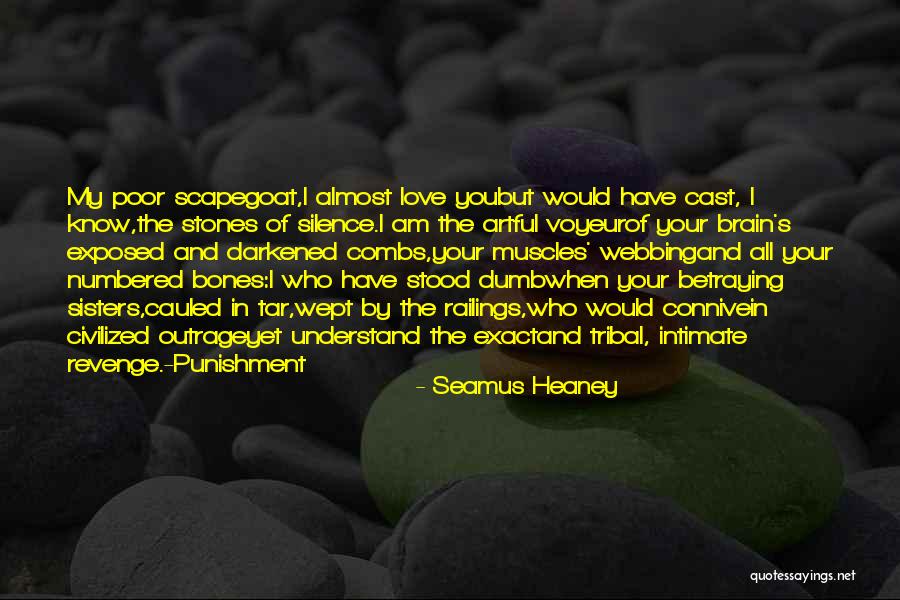 My Sisters Love Quotes By Seamus Heaney My Sisters Love Quotes By Seamus Heaney