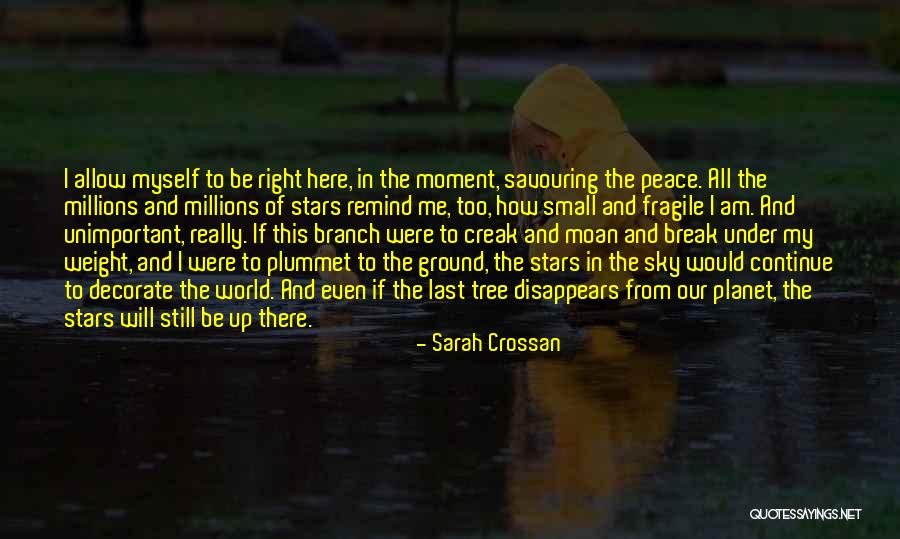 My Small World Quotes By Sarah Crossan