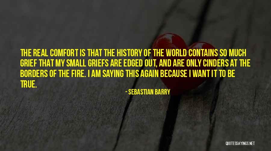 My Small World Quotes By Sebastian Barry