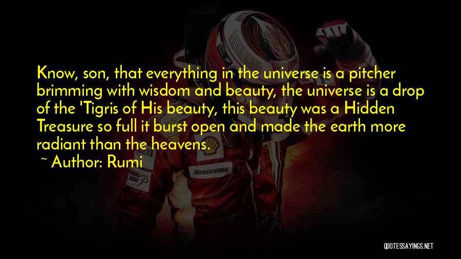 My Son My Treasure Quotes By Rumi
