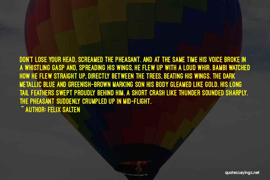 My Son Short Quotes By Felix Salten