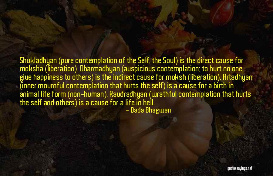 My Soul Hurts Quotes By Dada Bhagwan My Soul Hurts Quotes By Dada Bhagwan