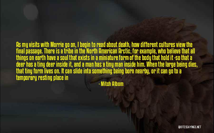 My Soul Tribe Quotes By Mitch Albom My Soul Tribe Quotes By Mitch Albom