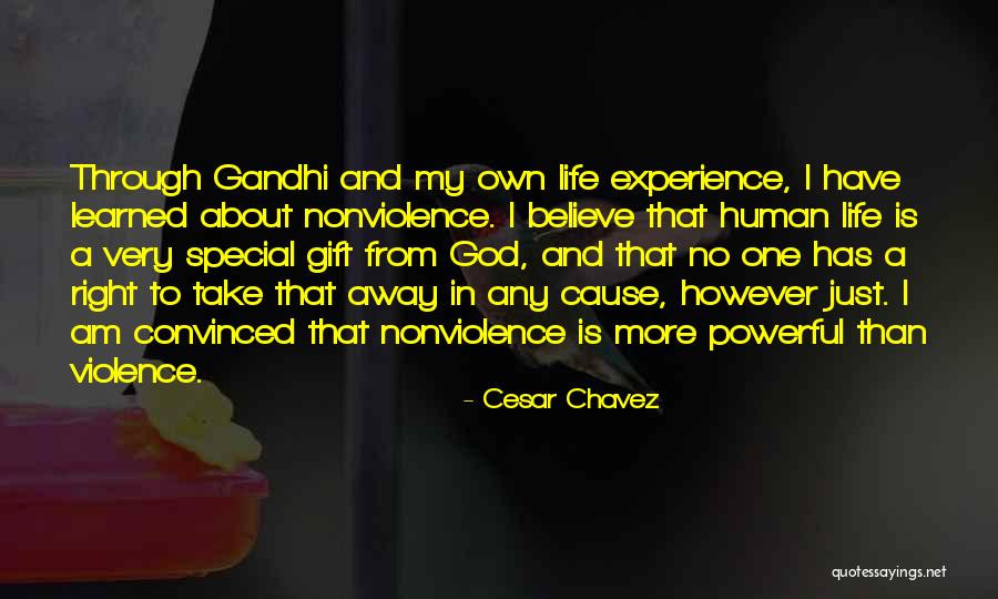 My Special One Quotes By Cesar Chavez