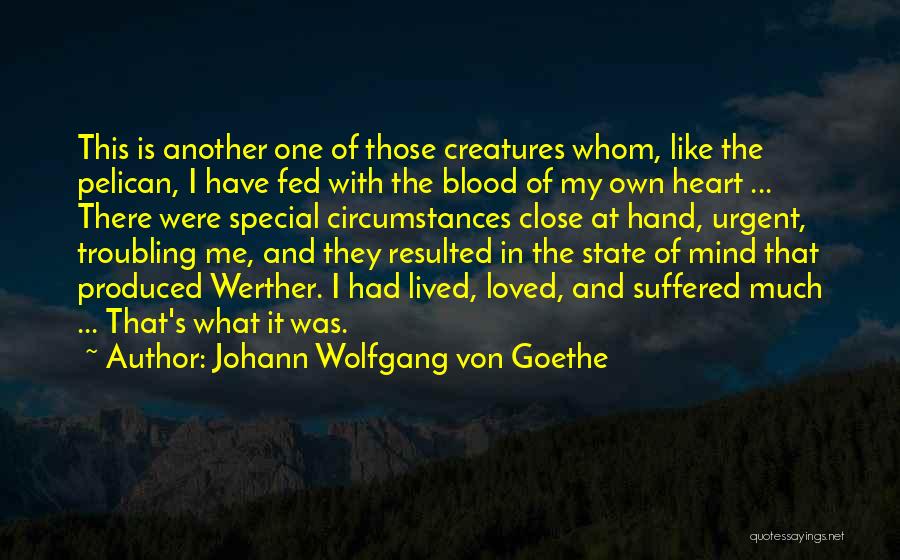 My Special One Quotes By Johann Wolfgang Von Goethe
