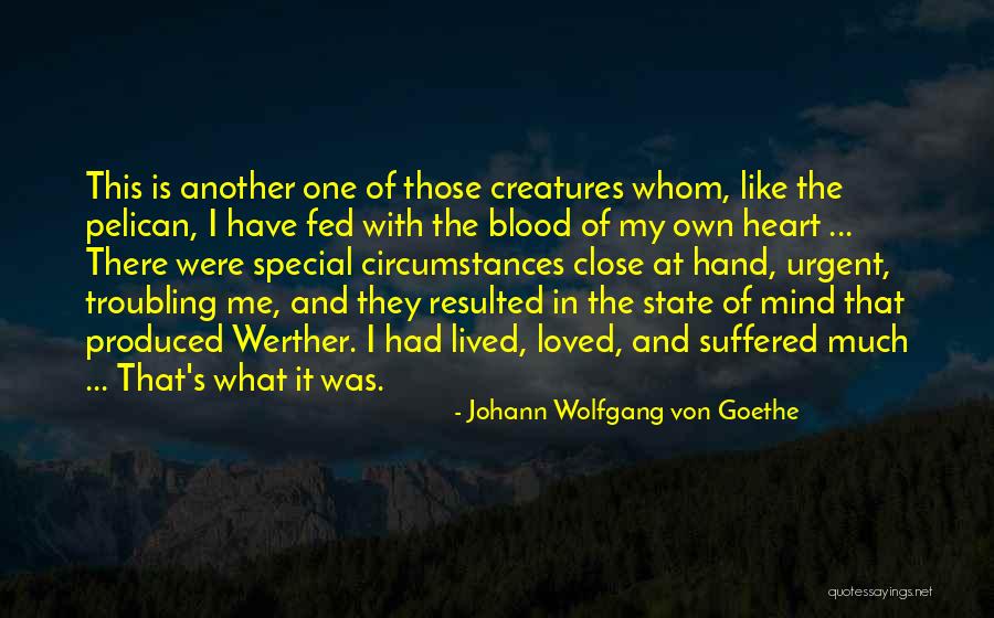 My Special One Quotes By Johann Wolfgang Von Goethe