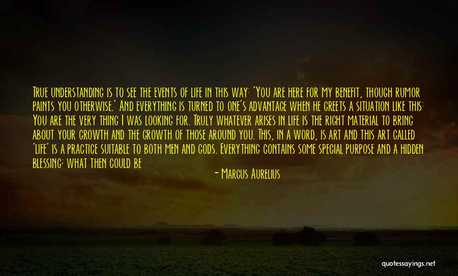 My Special One Quotes By Marcus Aurelius