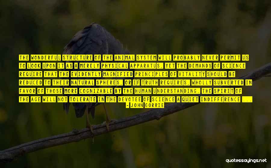 My Spirit Animal Quotes By John Gorrie My Spirit Animal Quotes By John Gorrie