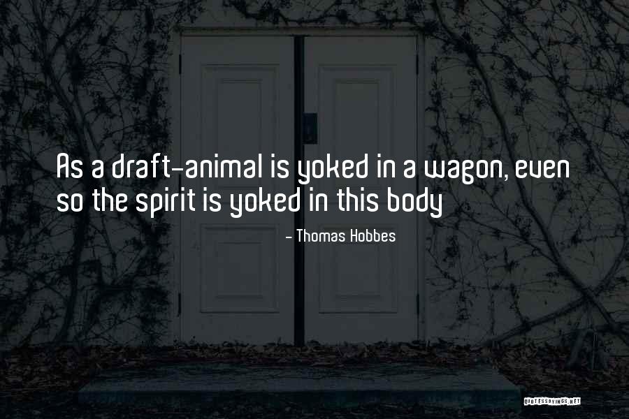 My Spirit Animal Quotes By Thomas Hobbes My Spirit Animal Quotes By Thomas Hobbes