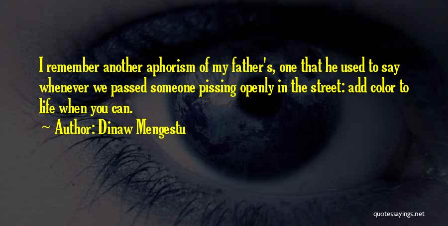 My Street Quotes By Dinaw Mengestu