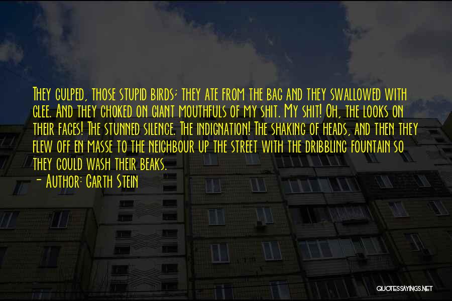 My Street Quotes By Garth Stein