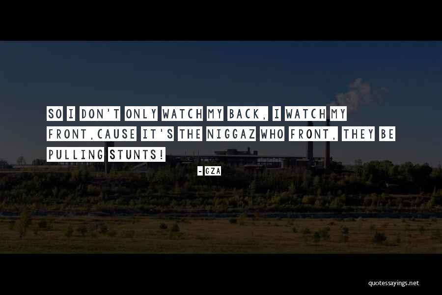 My Stunts Quotes By GZA My Stunts Quotes By GZA