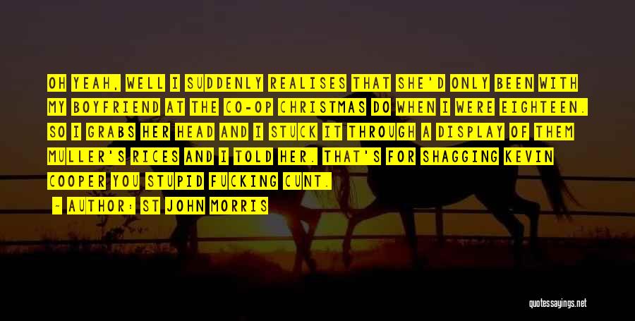 My Stupid Ex Boyfriend Quotes By St John Morris