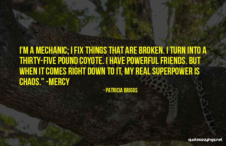 My Superpower Quotes By Patricia Briggs My Superpower Quotes By Patricia Briggs