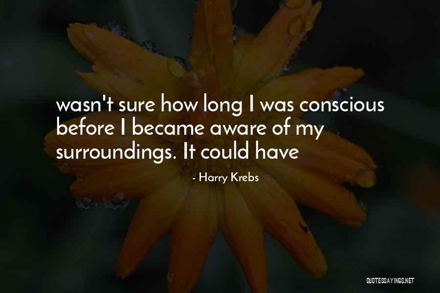 My Surroundings Quotes By Harry Krebs My Surroundings Quotes By Harry Krebs
