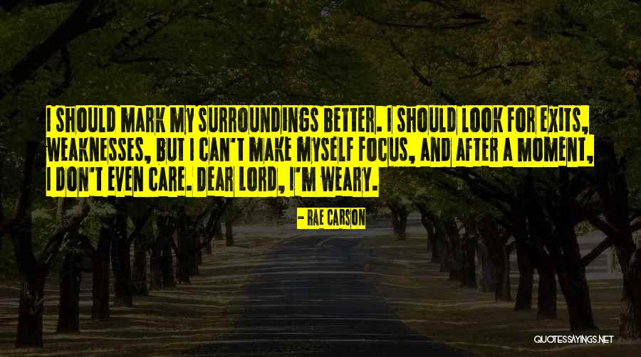 My Surroundings Quotes By Rae Carson My Surroundings Quotes By Rae Carson