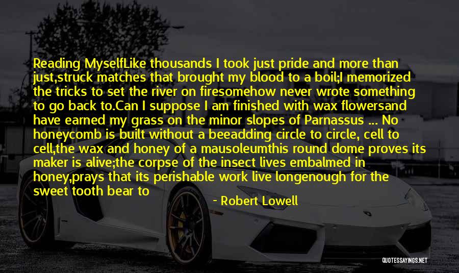 My Sweet Honey Quotes By Robert Lowell