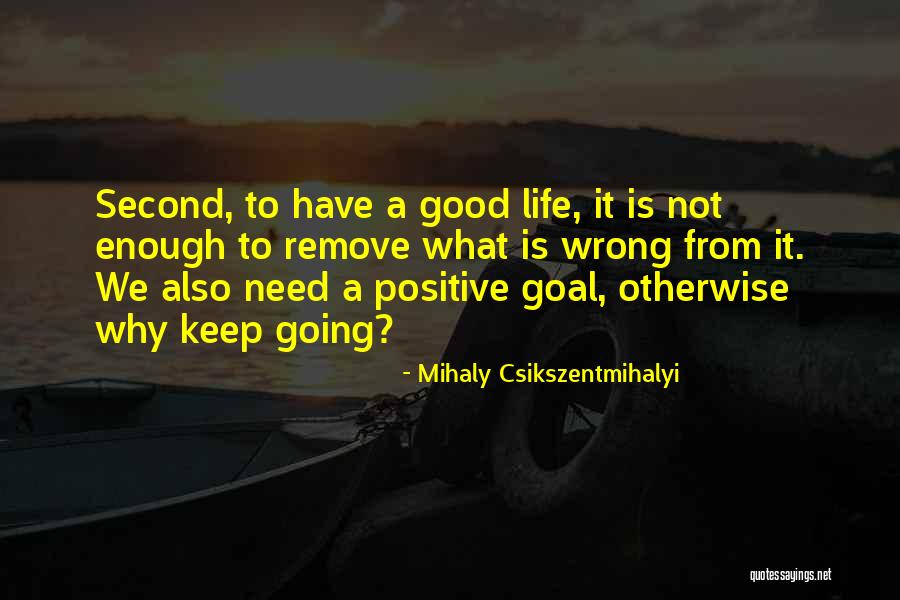 My Talks With Dean Spanley Quotes By Mihaly Csikszentmihalyi My Talks With Dean Spanley Quotes By Mihaly Csikszentmihalyi