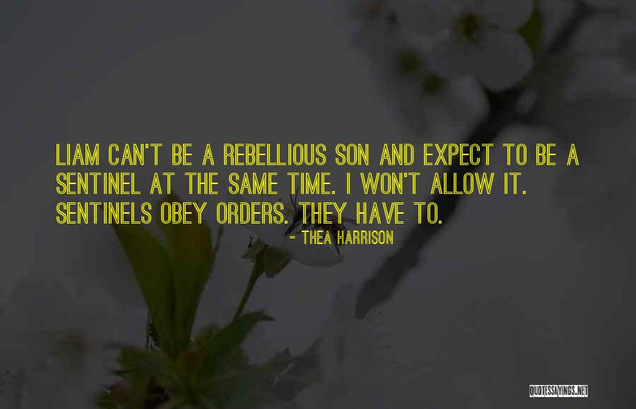 My Teenage Son Quotes By Thea Harrison My Teenage Son Quotes By Thea Harrison