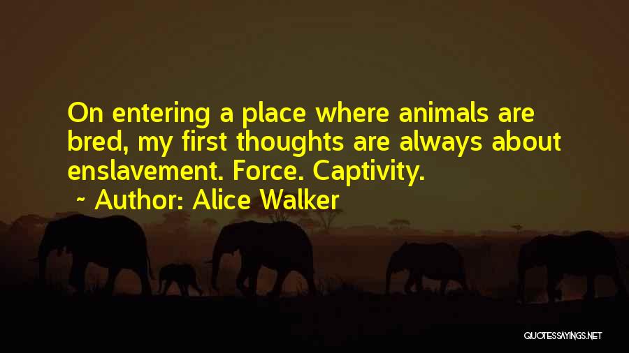 My Thoughts Are Quotes By Alice Walker