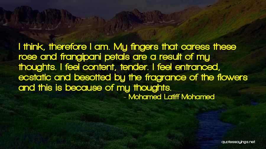 My Thoughts Are Quotes By Mohamed Latiff Mohamed