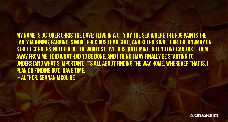 My Time Precious Quotes By Seanan McGuire