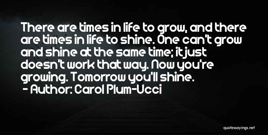 My Time To Shine Quotes By Carol Plum-Ucci