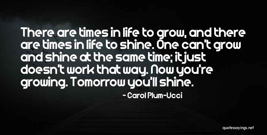 My Time To Shine Quotes By Carol Plum-Ucci