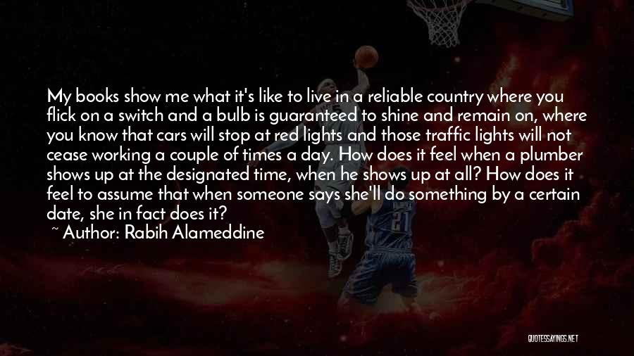 My Time To Shine Quotes By Rabih Alameddine